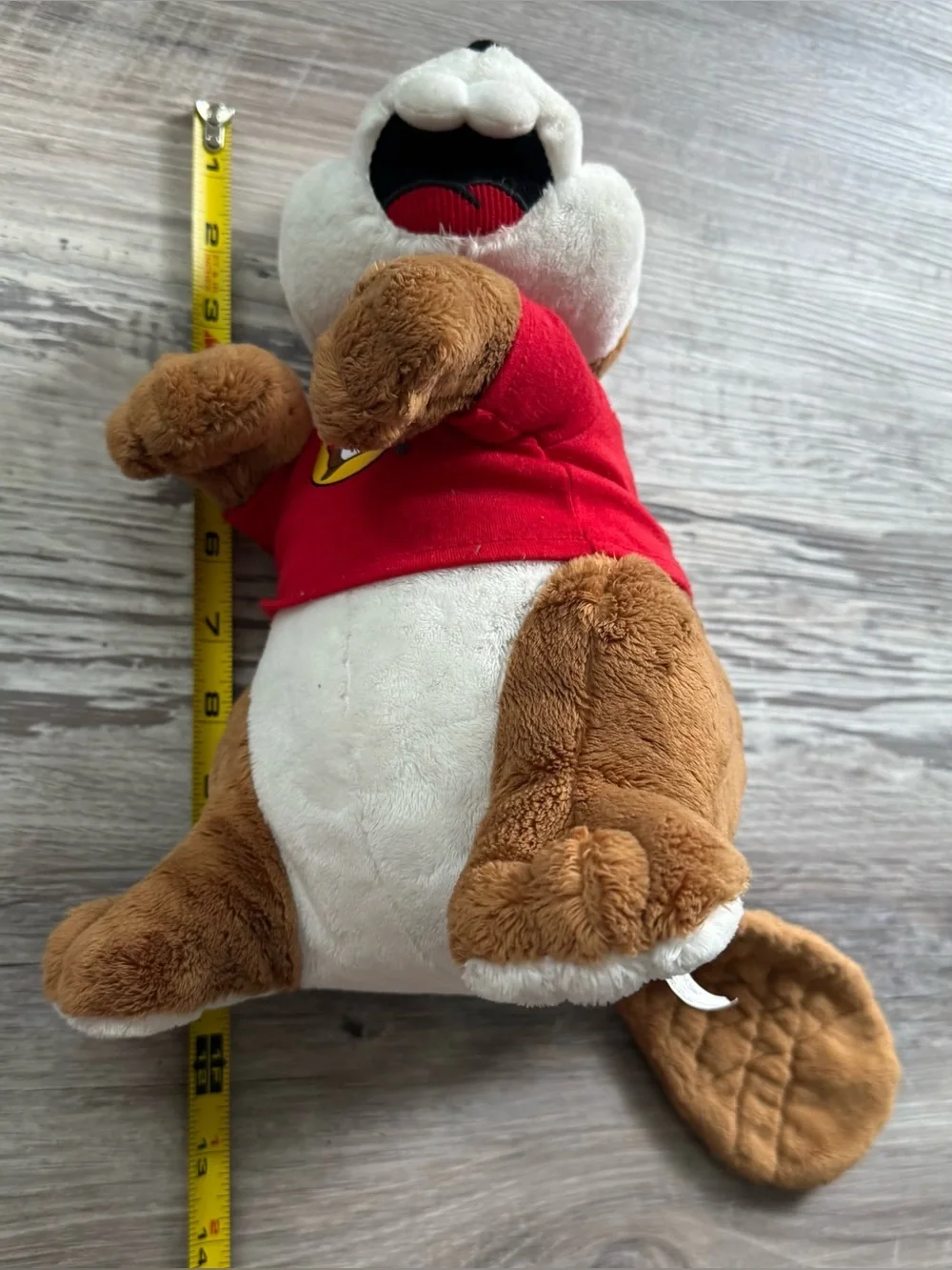 Buc-ees buc ee
